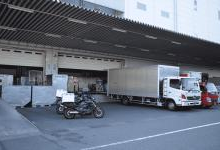 nec与nec fielding开始量子计算技术的实际应用测试